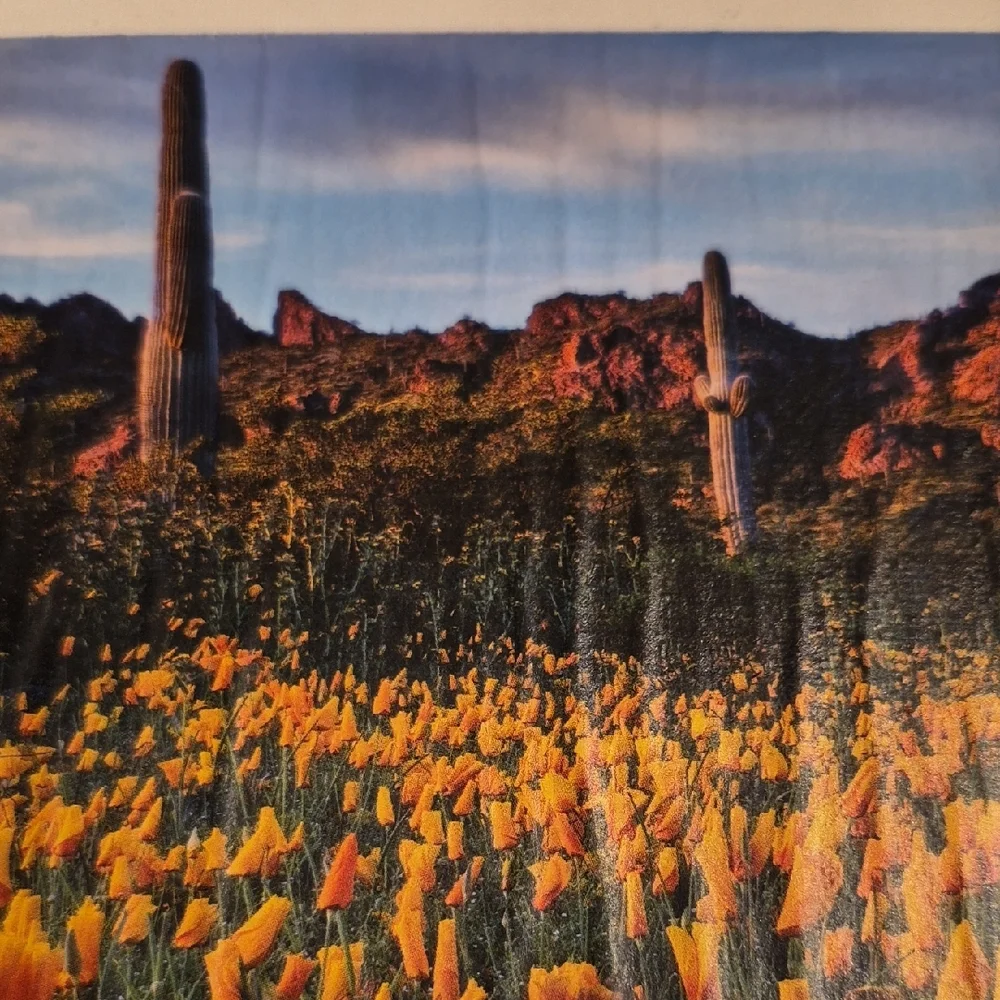 Vibrant Orange Flower Field Canvas Art - Picture 2 of 4